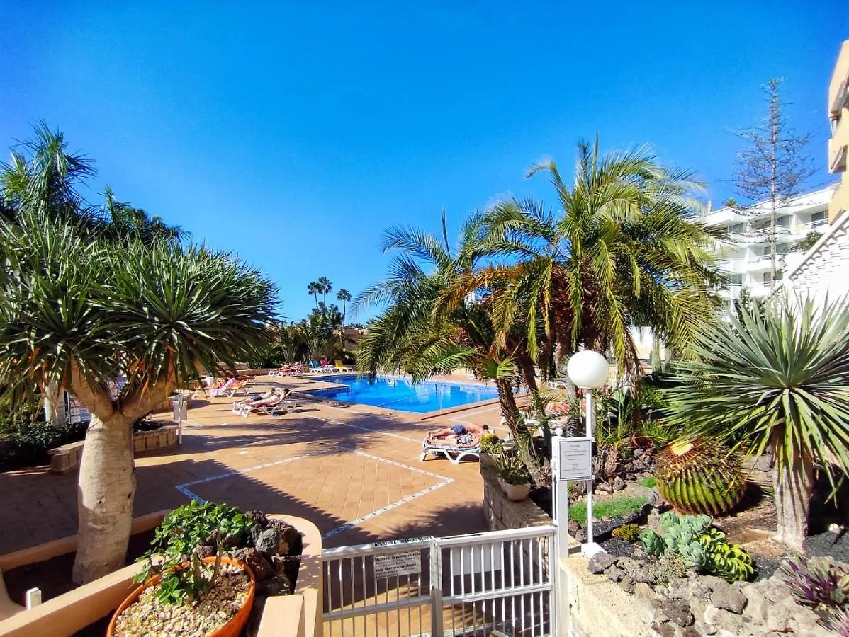 Apartament Chill Out Borinquen Playa de las Americas  Playa de las Americas (Tenerife)